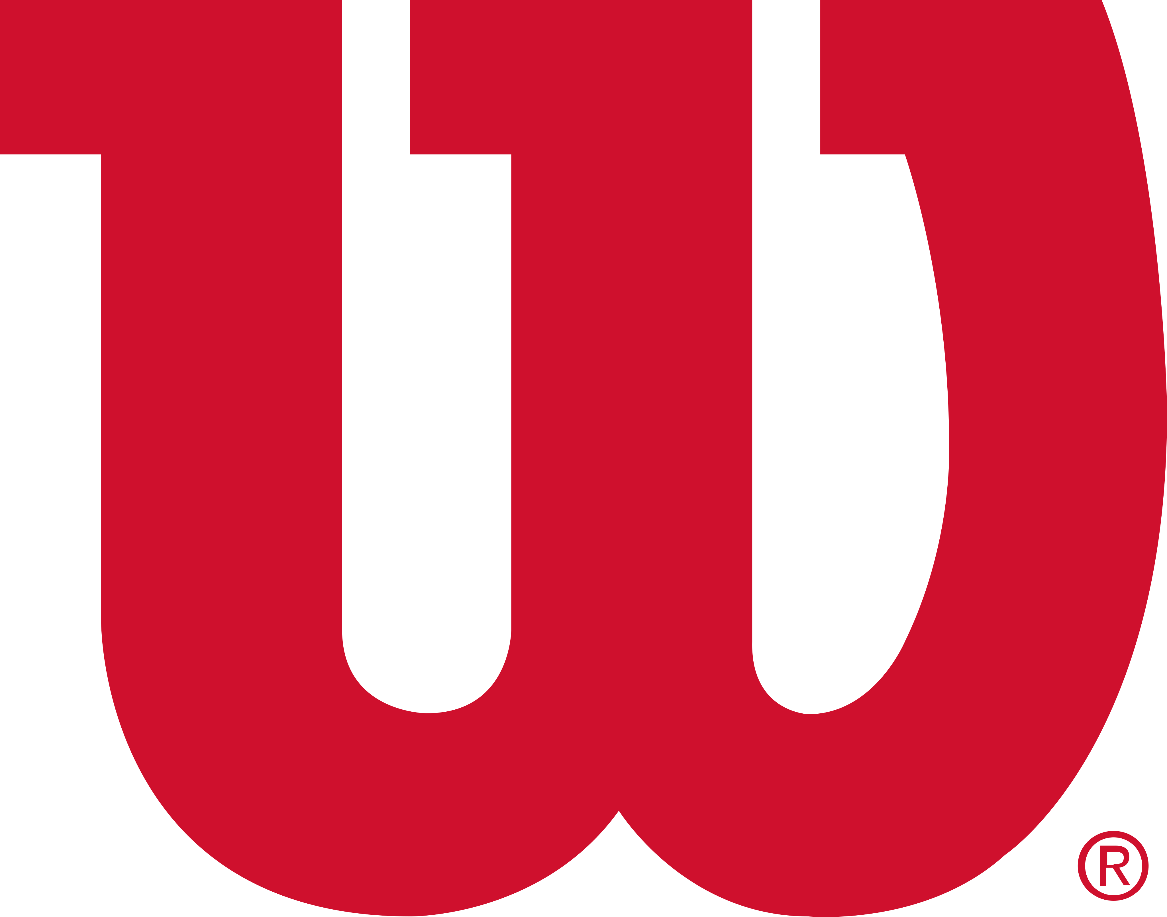 Wilson logo groot
